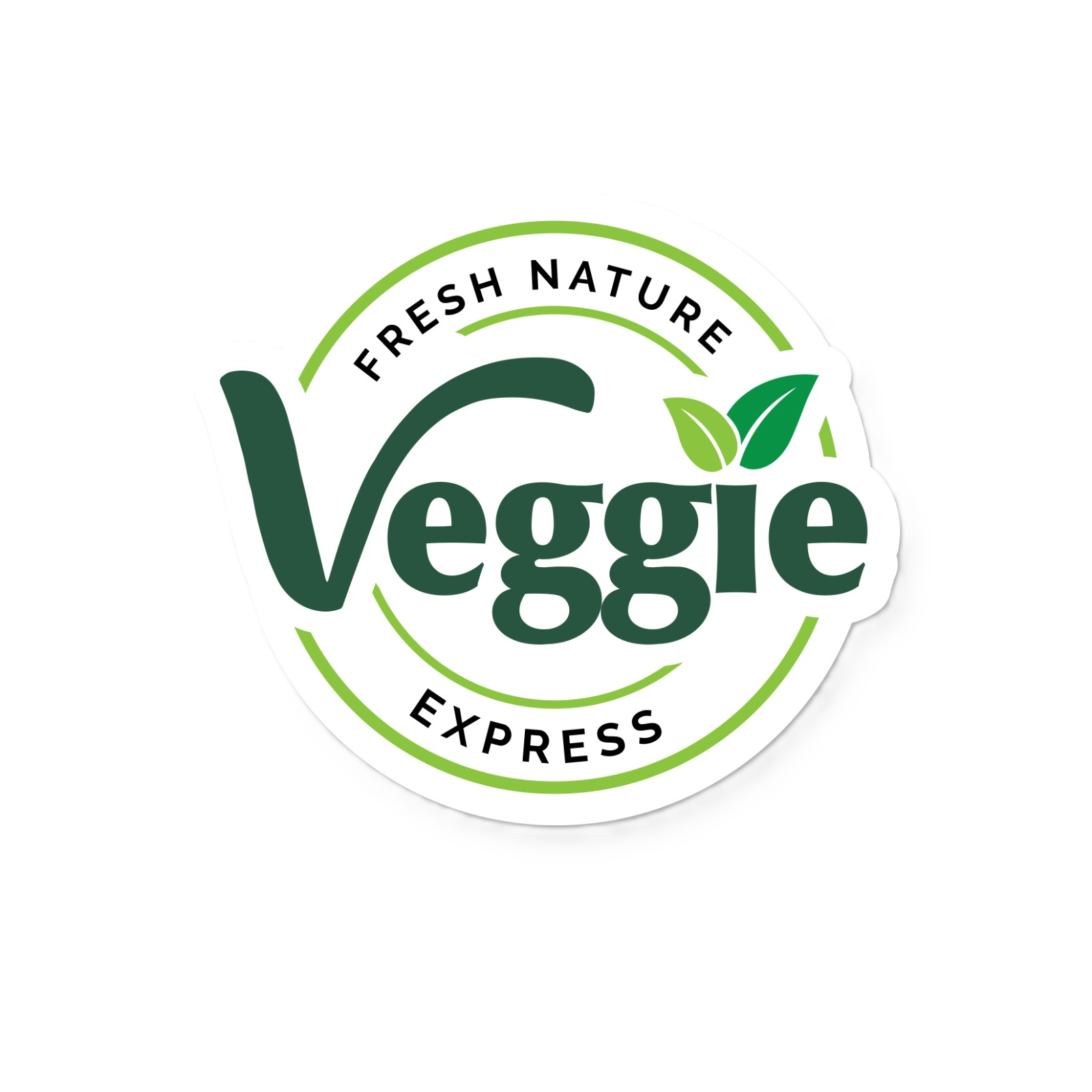 demo01.vegellc.com